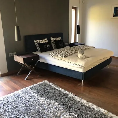 Przy Lesie Apartment *