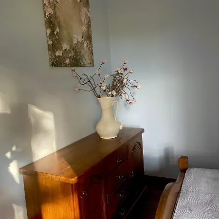 Przy Lesie Apartment *