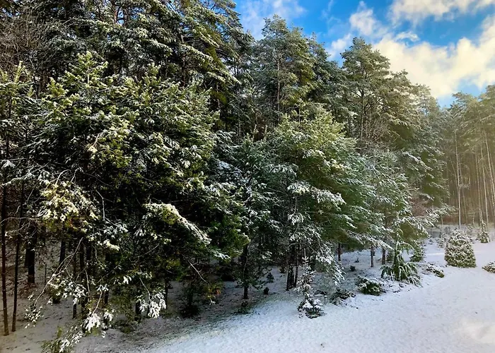 Apartamento Przy Lesie *