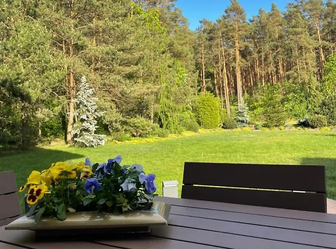 Przy Lesie Apartamento