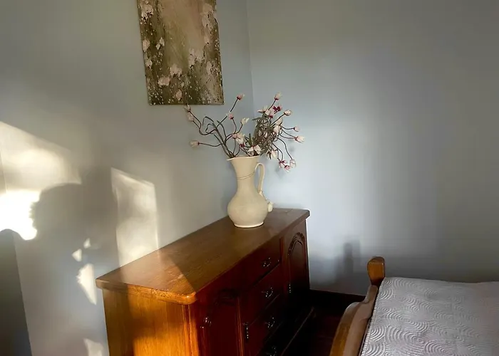 Przy Lesie Apartamento *