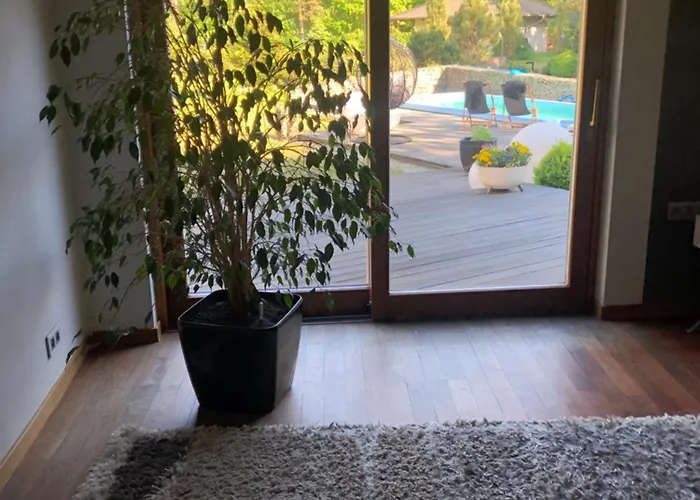 Apartment Przy Lesie *